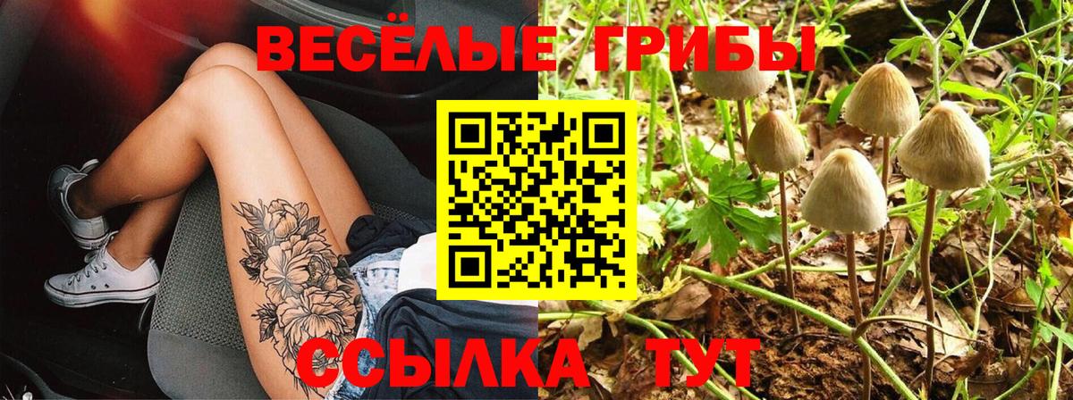 Сибай  Галлюциногенные грибы мухоморы  Вход с VPN 