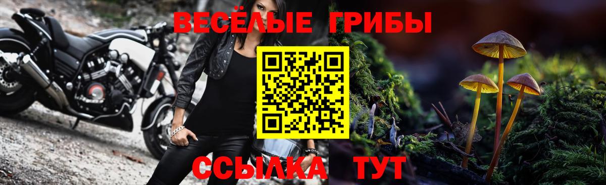 Псилоцибиновые грибы GOLDEN TEACHER Сибай